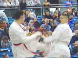 karate001.bmp (38454 bytes)